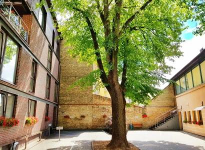 Vivulskio Apart-Hotel - 17