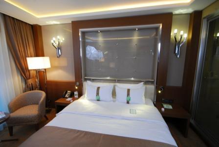 Holiday Inn Ankara-Kavaklidere, An Ihg - 108