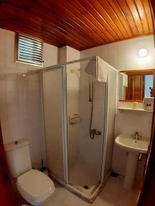 Caretta Caretta - 68