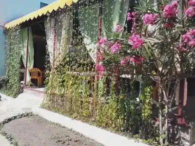 Семейный - 23