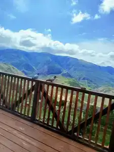 у Шерифа - 60