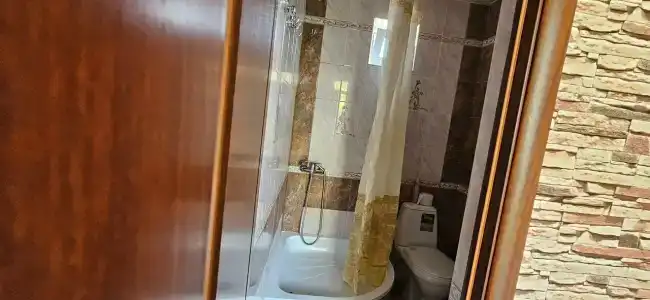 Сатха - 12