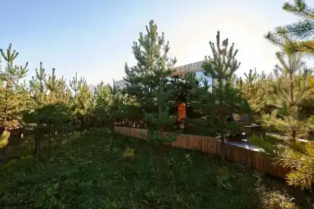 Сердце Природы - 220
