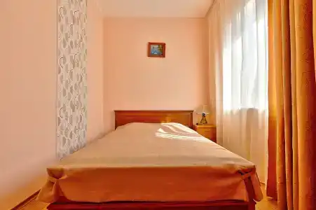 Дельфин - 42