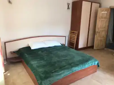 Ibis 10 - 100