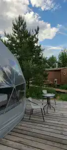Точка Дзен - 56