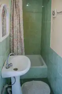 Инжир - 60