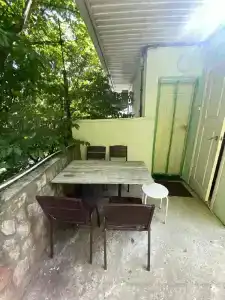 Инжир - 31