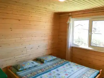 Зубы Дракона - 31