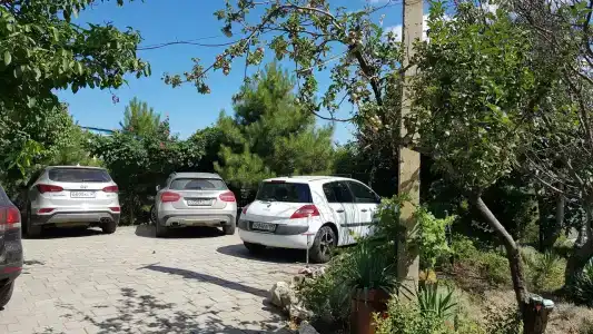 Замок грез - 124