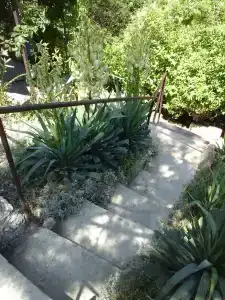 Замок грез - 190