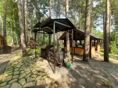Дача Сосны-Лес - 63