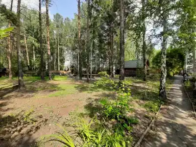Дача Сосны-Лес - 62
