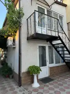 Bella - 19