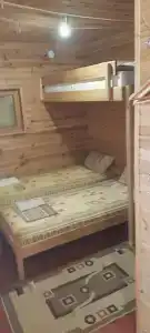 Собака - 57