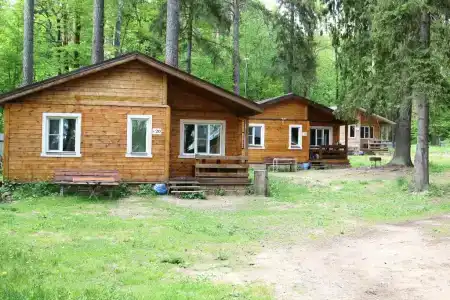 Лесная дача - 105