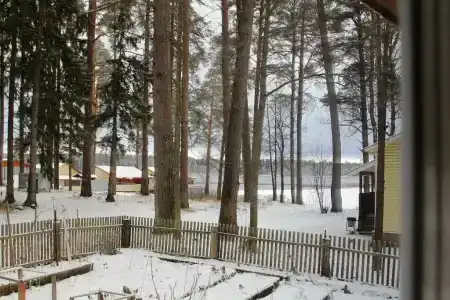 Лесная дача - 90