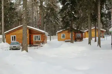 Лесная дача - 62