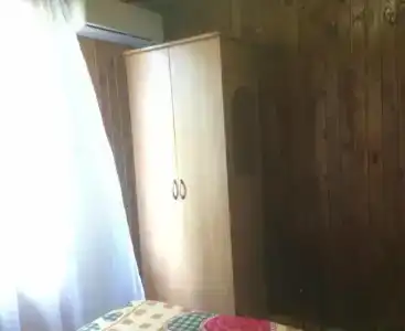 Дамир - 53