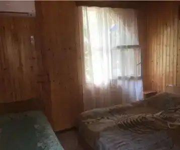 Дамир - 57