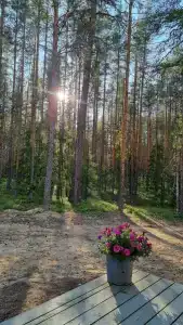 Семиозерье - 98