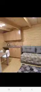 Крассула - 14