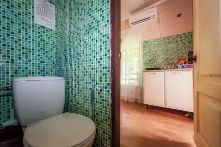 Ласточка - 86