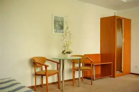 Спутник - 145