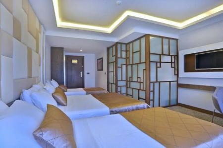 Grand Sagcanlar - 133