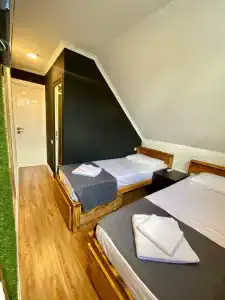 GreenWall - 62