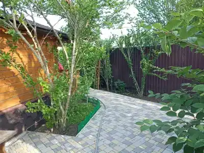 Галант - 6