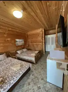 Аметист - 56