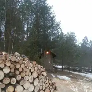 Дачка на Ладоге - 15