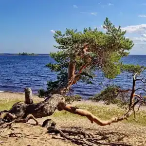 Дачка на Ладоге - 34