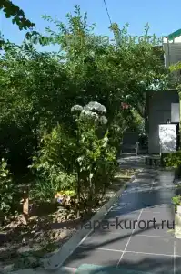 Яна - 59