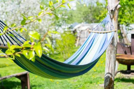 Александровский - 47