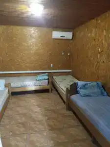 Спартак - 34
