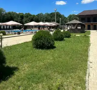 Кипарис - 72