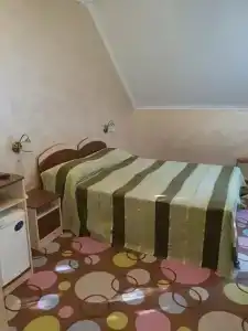 Пансионат Серебрянный Век - 40