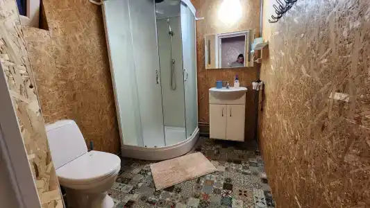 Лиса - 1
