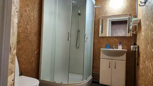 Лиса - 3