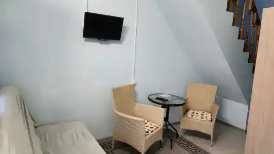 Лиса - 9