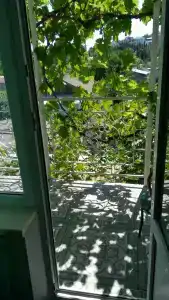 Чтобы отдых удался! - 65