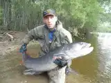 Домик