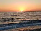 Бюджетный двухместный номер с 2 отдельными кроватями