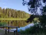 Номер Стандарт