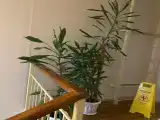 Номер Стандарт