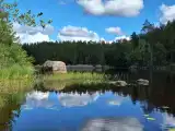 Номер Стандарт