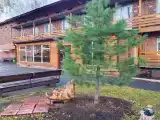 Кровать в общем номере