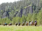 Место под палатку